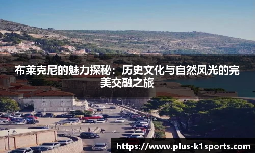 K1体育下载